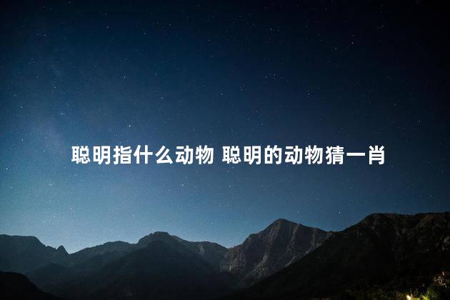聪明指什么动物 聪明的动物猜一肖
